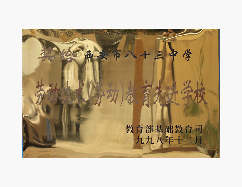 劳动技术.png